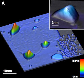 Scanning tunneling microscope image of a single layer of graphene on platinum with four nanobubbles at the graphene-platinum border and one in the patch interior. The inset shows a high-resolution image of a graphene nanobubble and its distorted honeycomb lattice due to strain in the bubble. (Crommie lab, UC Berkeley image)