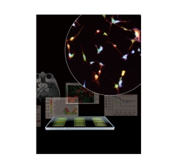 Microfluidic imaging cytometry (MIC) platform