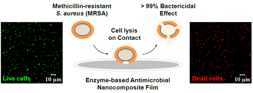 Image credit: Rensselaer/Ravindra C.Pangule