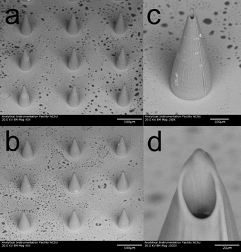 Hollow microneedles open the door to new techniques for diagnosing and treating a variety of medical conditions, including skin cancer. Image reproduced by permission of the Royal Society of Chemistry.