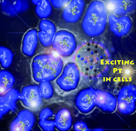 Activating platinum with light: An inert platinum(IV) diazido complex trans, trans,trans-[Pt(N3)2(OH)2(py)2] becomes potently cytotoxic to cancer cells when activated by low doses of visible light.