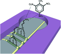 Dog on a chip: Explosives can be detected with unprecedented sensitivity by using arrays of silicon nanowire field-effect transistors modified with an electron-rich aminosilane monolayer, which form complexes with the analytes (see picture). These nanosniffers can be used to sense the presence of TNT at concentrations as low as 110−6 ppt, which is superior to that of sniffer dogs or any other known explosive detection method.