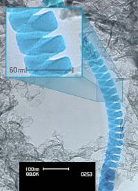 Researchers at Oregon State University have successfully loaded biological molecules onto "nanosprings," an advance that could have many industrial and biomedical applications. (Image by David McIlroy, courtesy of the University of Idaho)