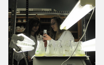 The Plant Powered Production (P3) Technology Lab of Siva Kumar, Arkansas State University, is shown.