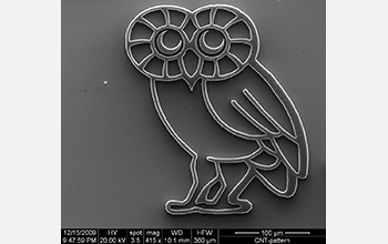 Jun Yao, a graduate student at Rice University, traced the Rice logo--by hand--into electron-beam controller software to create microscopic NanoOwls from forests of carbon nanotubes. Credit: Jun Yao and Noe Alvarez, Rice University