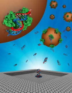 Probe-microRNA duplexes translocate through thin nanopores. (Artwork: Robert Johnson) 