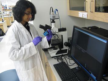 Nupura Bhise of the Jordan group at JHU using the NanoSight LM10