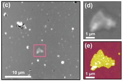 "Laser targeting" for nanoscale microscopy: On the left, a typical 900 square micrometer view, using focused laser beam, shows potentially interesting purple membrane patch, which is marked with the square. Right top, closer optical image of patch; bottom, same target imaged with AFM revealing topological detail. Credit: A.B. Churnside, University of Colorado at Boulder