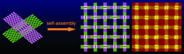 DNA origami gets large: A double-layer DNA-origami tile with two orthogonal domains underwent self-assembly into well-ordered 2D DNA arrays with edge dimensions of 2C3 m (see schematic representation and AFM image). This size is likely to be large enough to connect bottom-up methods of patterning with top-down approaches.