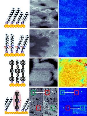 Simultaneously acquired images and polarizability maps of four different families of molecules