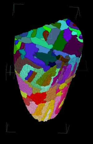 Boundaries of magnetic domains can be computer imaged
in three dimensions. Image: HZB/Manke, Grothausmann