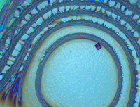 Polymer Art Glass -- An optical micrograph of a polymer film that self-assembles into ordered nanoscale structures. These materials are being explored for use in the low-cost fabrication of various nanoscale dot, post and wire arrays. By Seth Darling and Muruganathan Ramanathan (Argonne National Laboratory)