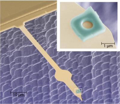 This is a false-color image of a single-crystal Si cantilever and its attached annular SRO particle. Inset: Scanning electron microscope image of the SRO ring with a 0.7-m diameter hole. Credit: Raffi Budakian, University of Illinois