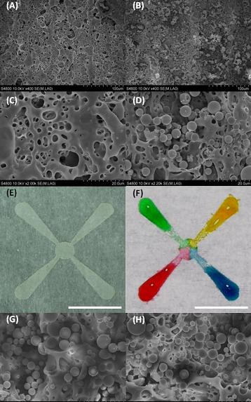 Colored water is used to show how liquid wicks along tiny channels formed in paper using a laser, in research to develop a new technology for medical diagnostics and chemical analysis. Silica microparticles were deposited on patterned areas, allowing liquid to diffuse from one end of a channel to the other. (Birck Nanotechnology Center, Purdue University)