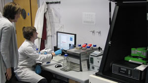 Dr Stephanie Allen and one of her students, Oliver Croad, work with the JPK ForceRobot300 system 