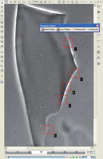 rIQ: the intelligent solution for the analysis of glass trace evidence