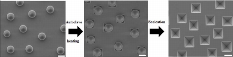 Erik Hsiao
Localized etching of a silicon (100) wafer upon hydrolysis of amidine-functionalized polystyrene latex colloids. The nanowell size can be precisely controlled with the size of the APSL colloids. No etch mask is needed and the region outside the nanowells is not etched at all. Scale Bar = 500 nm.