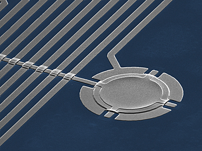 Colorized micrograph of NIST's aluminum drum, which is 15 micrometers in diameter and 100 nanometers thick. The drum is used in quantum information experiments and ultraprecise measurements of mechanical motion.
Credit: A. Sanders/NIST