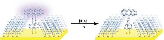 Two molecules are placed in proximity in "cutouts" in self-assembled monolayers. When excited with ultraviolet light, they are constrained to react along a pathway different than they would if they could reorient in solution.