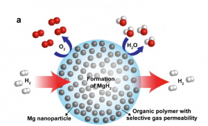 This schematic shows high-capacity magnesium nanocrystals encapsulated in a gas-barrier polymer matrix to create a new and revolutionary hydrogen storage composite material. (Image from Jeff Urban)