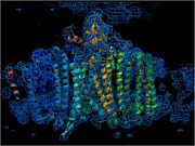 An X-ray laser captures the 
structures of life