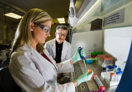 Sandia post-doctoral fellow Carlee Ashley introduces a buffer into a protocell solution to dilute it as Sandia researcher and University of New Mexico professor Jeff Brinker watches. (Photo by Randy Montoya)