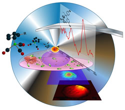 Schematic representation of AFM-IR as described by Dazzi and his colleagues in Angew. Chemie.