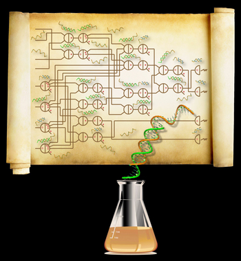 A wiring diagram specifying a system of 74 DNA molecules that constitute the largest synthetic circuit of its type ever made. The circuit computes the square root of a number up to 15 and rounds down to the nearest integer (the discrete square root of a four-bit integer).
[Credit: Caltech/Lulu Qian]