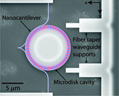 

Scanning electron micrograph of the cantilever-microdisksystem.
The image has a calculated z-component of the magnetic
field overlaid on the structure. 