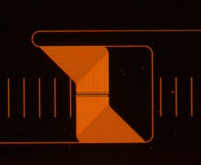 Georgia Tech/Zhixuan Xia

Micrograph of the microspectrometer developed Ali Adibi, a professor in the School of Electrical and Computer Engineering at Georgia Tech. The intstrument achieved 0.6-nanometer resolution over a spectral range of more than 50 nanometers with a footprint less than one square millimeter.