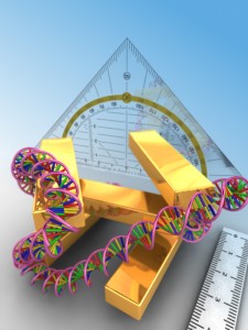 The spatial freedom afforded the 3D plasmon rulers five nanorods enable it to measure the direction as well as the magnitude of structural changes in a macromolecule sample.