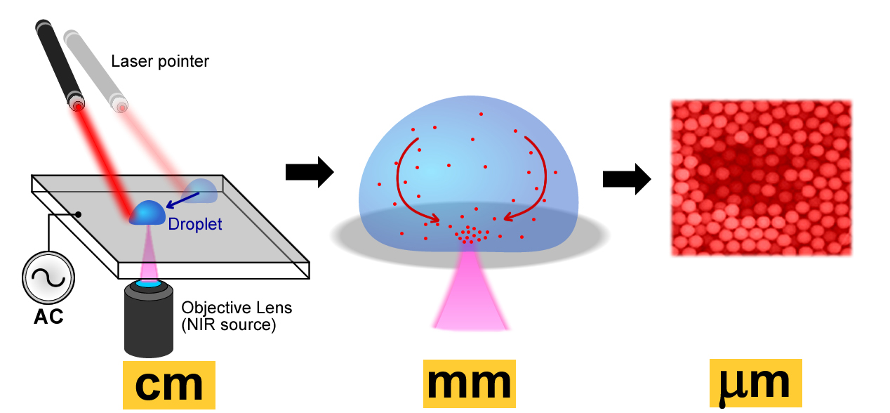 This graphic illustrates a new technology that combines a laser and electric fields to manipulate fluids and tiny particles such as bacteria, viruses and DNA for a range of potential applications from drug manufacturing to food safety. The technologies could bring innovative sensors and analytical devices for "lab-on-a-chip" applications. (Stuart J. Williams, University of Louisville)