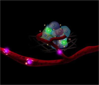 Using nanotechnology to engineer sensors onto the surface of cells, researchers at Brigham and Women's Hospital (BWH) have developed a platform technology for monitoring single-cell interactions in real-time. Sensing the niche - Cells carrying sensors monitor the cellular nano-environment in real-time.

Credit: Courtesy of Brigham and Women's Hospital