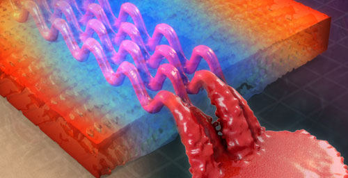 Image by Piyush Thakre, Alex Jerez, Ryan Durdle and Jeremy Miller, Beckman Institute, U. of I.

A vascularized fiber-reinforced composite material. Illinois researchers developed a class of sacrificial fibers that degrade after composite fabrication, leaving hollow vascular tunnels that can transport liquids or gases through the composite. 