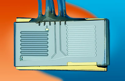 Kent Loeffler, Cornell University
This photograph shows the device's microfluidic chip, which measures approximately one centimeter by 3 centimeters and integrates sample purification and real-time PCR analysis chambers.