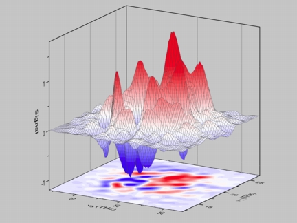 Measured two-dimensional spectrum. Without the interaction of the electron with lattice vibrations there would be no signal in the range shown.