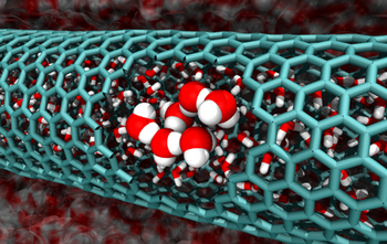 This image from the Caltech teams simulations features a cutaway of a 2.0 nanometer-diameter carbon nanotube, revealing confined water molecules.
[Credit: Caltech/Tod Pascal]