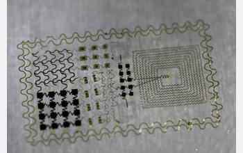 The newly developed device, an epidermal electronic system created by an international team of engineers and scientists.

Credit: J. Rogers, University of Illinois