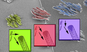 The nanofibers lean in different directions depending on where they are located in relation to the chromium grid, because the ions are being drawn to the grid and strike the catalysts at various angles.