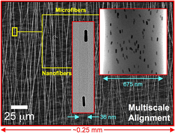 Researchers have developed a way to align gold nanorods using electrospun polymer nano/microfibers. 