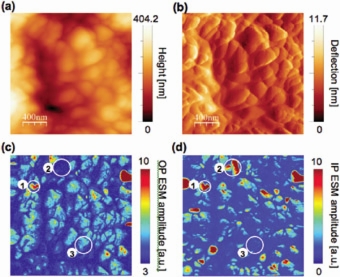 Nina Balke added, This is the first time we can actually see phenomena in batteries well below the100 nanometer level, observing their charging and degradation on the level of single structural defects.

Concluded Stephen Jesse, the mastermind behind the development of ESM, ESM offers an example of a multidimensional SPM technique that provides a new and decisive step towards understanding the nanoscale world of ionic systems. 