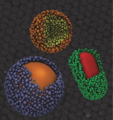 T.D.Nguyen, Glotzer Group, University of Michigan

Engineering researchers have discovered that under the right circumstances, basic atomic forces can be exploited to enable nanoparticles to assemble into superclusters that are uniform in size and share attributes with viruses. 