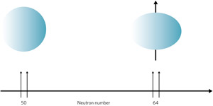 Figure 1: Adding neutrons to the nucleus of a zirconium atom changes its shape from spherical to oblate.

Hiroyoshi Sakurai