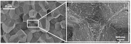 Cross-section of PMMA resin composite material showing the networks of CNTs on the surfaces of the resin particles. The CNTs are added to induce electrical conductivity.