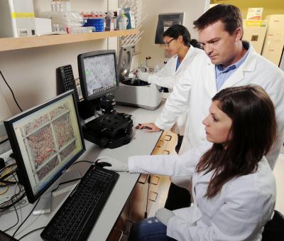 Todd McDevitt (center), an associate professor in the Wallace H. Coulter Department of Biomedical Engineering at Georgia Tech and Emory University, and research scientist Marissa Cooke (right) look at microparticles trapped within stem cell aggregates. Postdoctoral fellow Alyssa Ngangan (left) loads tubes into a centrifuge.

Credit: Georgia Tech/Gary Meek