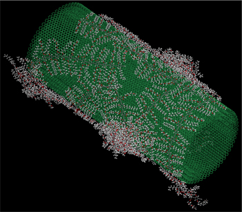 With access to Ohio Supercomputer Center systems, a research team led by University of Akron's Sadhan Jana simulated organic tie-molecules on the surface of multi-walled carbon nanotubes. The red balls represent oxygen, white balls represent hydrogen and gray balls represent carbon atoms in tie molecules. 