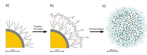 Quantum dots made water-soluble by a coating can, in turn, be combined with polymers and be coupled to other quantum dots