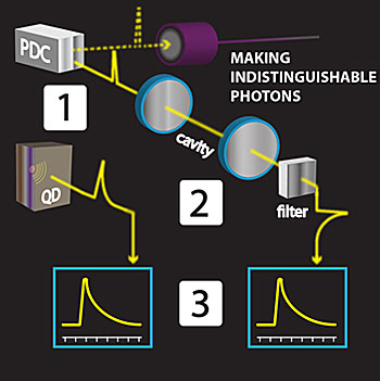 [1] A single photon is produced by a quantum dot (QD). Simultaneously, a pair of photons is produced by a parametric down-conversion crystal (PDC). [2] One of the PDC photonswhich has different characteristics than the QD photonis routed into a cavity and filter, [3] rendering this PDC photon and the QD photon nearly identical.
Credit: Suplee, NIST