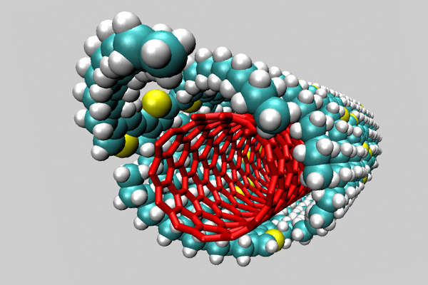 Francois Gygi and Giulia Galli / UC-Davis
A computer-generated cross section of the polymer-coated carbon nanotube. The polymer shell (blue) wraps around a semiconducting single-walled carbon nanotube (red).