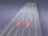 Artist’s impression of the quantum photonic chip, showing the waveguide circuit (in white), and the voltage-controlled phase shifters (metal contacts on the surface). Photon pairs become entangled as they pass through the circuit.
Image by University of Bristol's Centre for Quantum Photonics